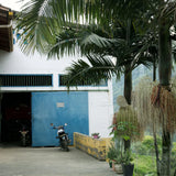Colombia Geisha El Jardin-Antioquia