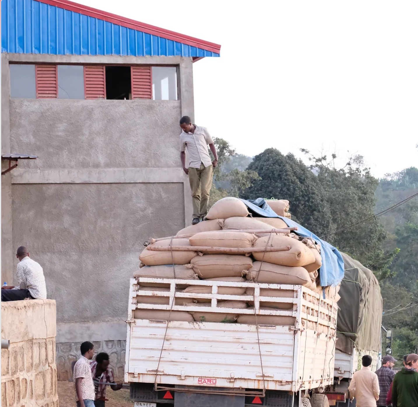 Half-Caf Ethiopia Sidamo - Index Coffee