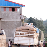 Half-Caf Ethiopia Sidamo - Index Coffee