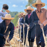 Ethiopia Yirgacheffe Idido