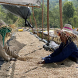 Ethiopia Yirgacheffe Idido
