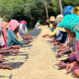 Ethiopia Yirgacheffe Idido