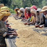 Ethiopia Yirgacheffe Idido