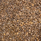Ethiopia Sidamo Dark Roast - Index Coffee
