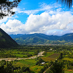 Peru Liz Colina Dark Roast for Keurig© Brewers - Index Coffee
