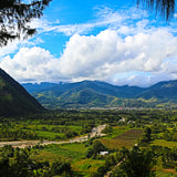 Peru Liz Colina Dark Roast for Keurig© Brewers - Index Coffee