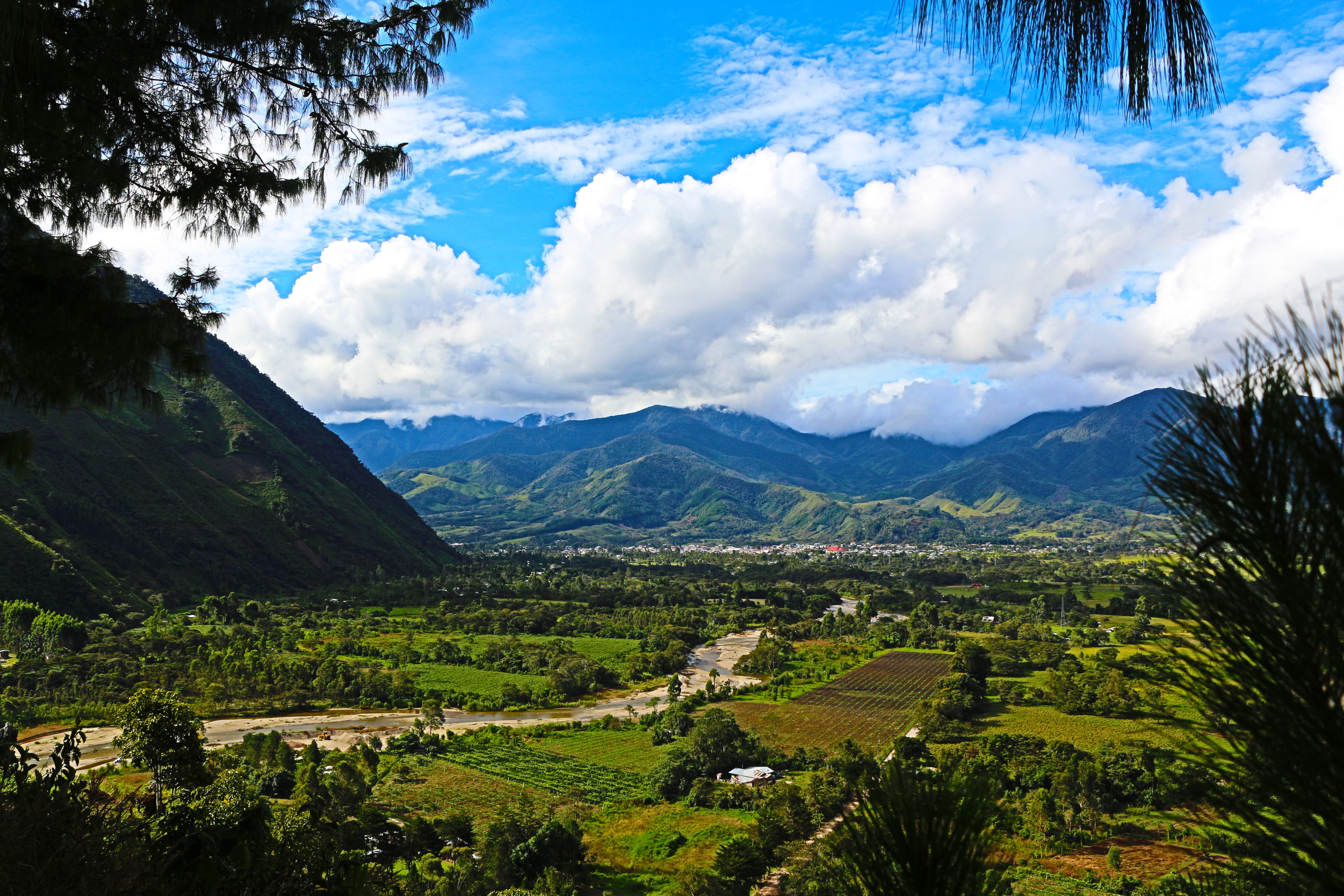 Peru Liz Colina Dark Roast for Keurig© Brewers - Index Coffee