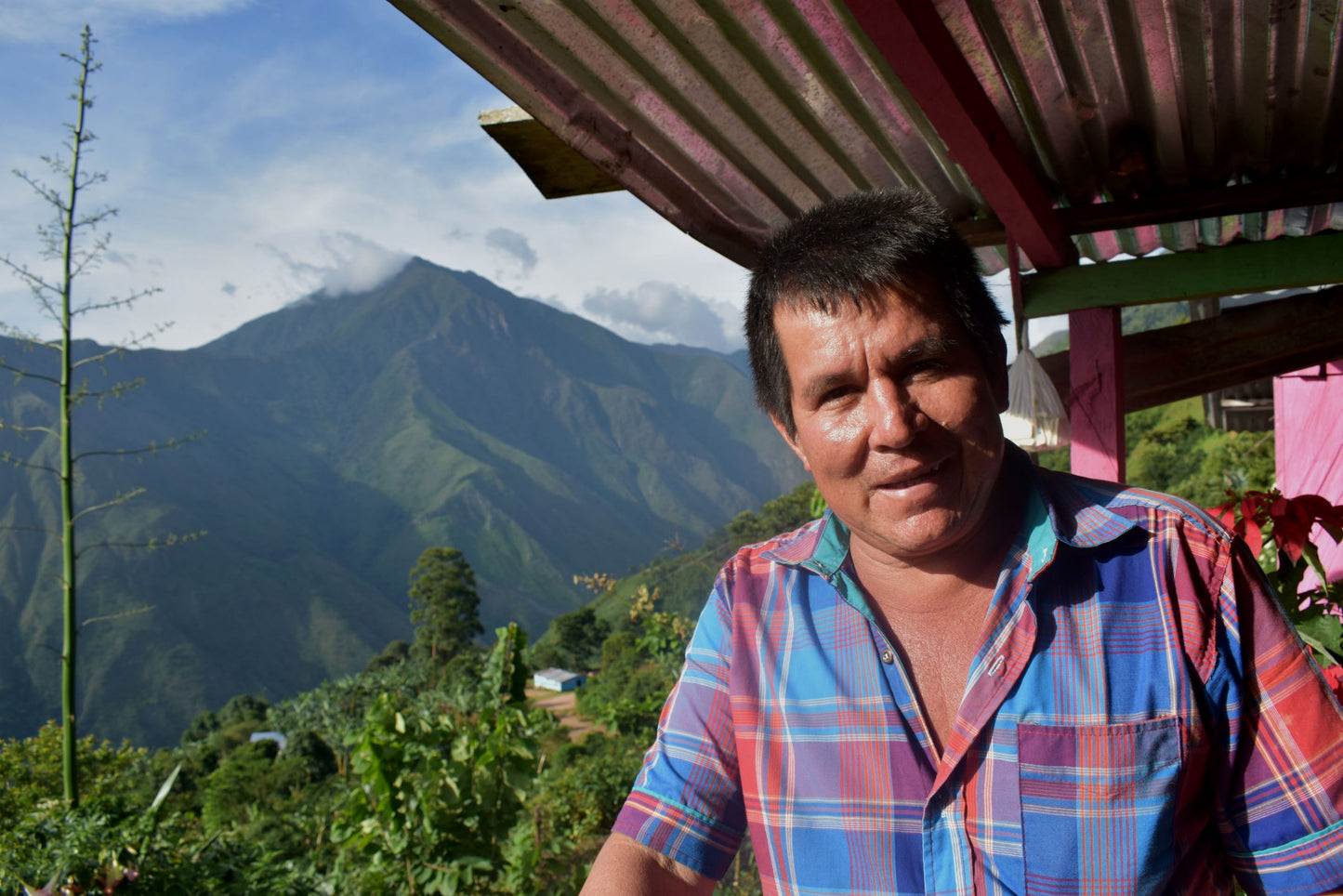Colombia Sol Naciente Fair Trade Organic