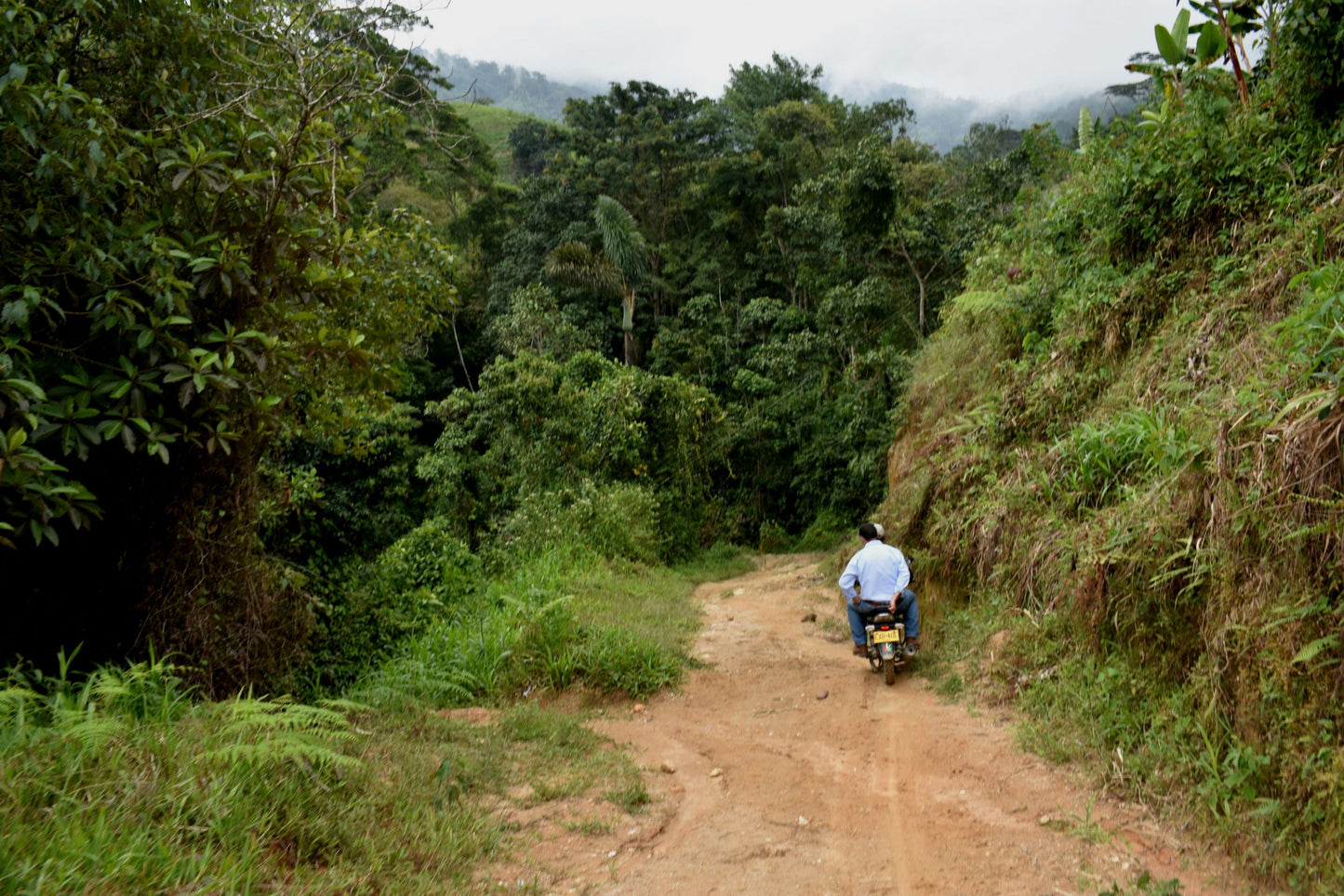 Colombia Sol Naciente Fair Trade Organic