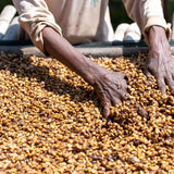 Ethiopia Sidamo Reserve Dark Roast
