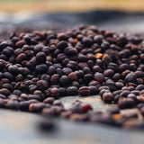 Ethiopia Sidamo Reserve Dark Roast