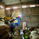 Ethiopia Sidamo Reserve Dark Roast