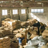 Ethiopia Sidamo Reserve Dark Roast