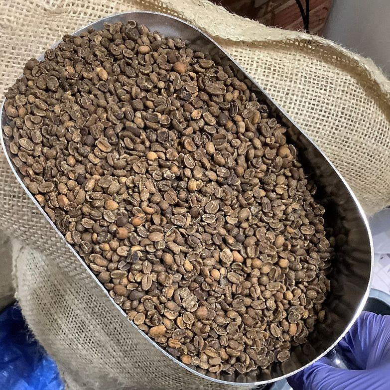 Ethiopia Sidamo DECAF 4 oz Sampler - Index Coffee