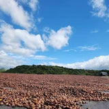 El Salvador San Miguel