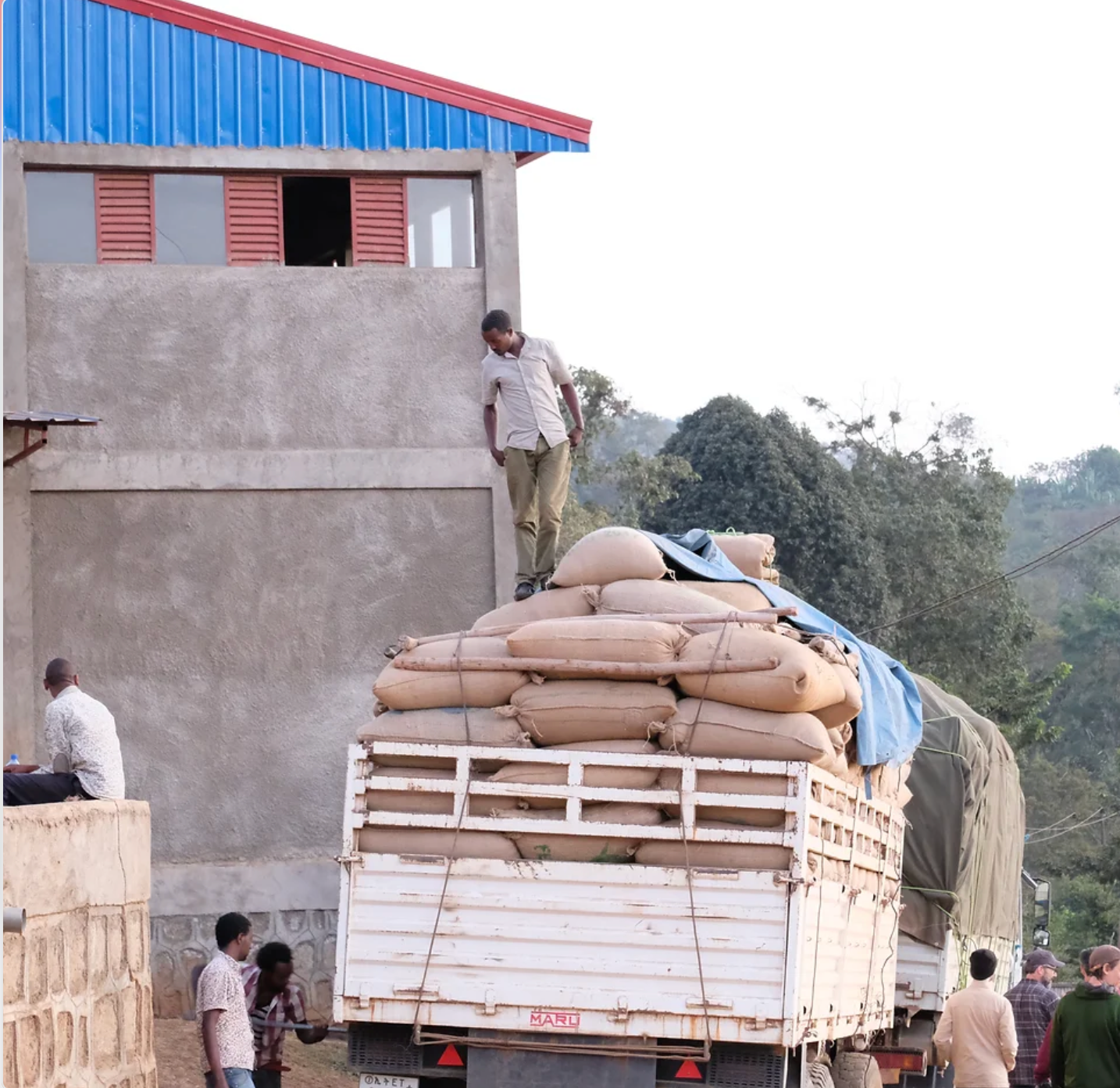 Ethiopia DECAF Sidamo Worku Buche