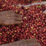 Ethiopia Guji Yabitu Koba