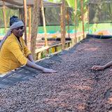 Ethiopia Yirgacheffe Idido