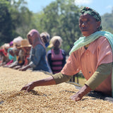 Ethiopia Yirgacheffe Idido