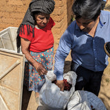 Mexico San Isidro Zoquiapam Organic Microlot