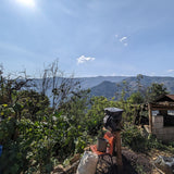 Mexico San Isidro Zoquiapam Organic Microlot