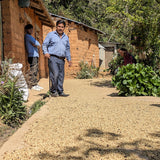 Mexico San Isidro Zoquiapam Organic Microlot
