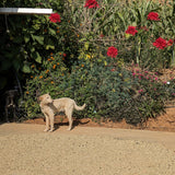 Mexico San Isidro Zoquiapam Organic Microlot