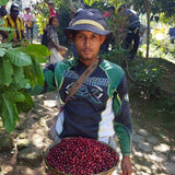 Maya Select DECAF for Keurig© Brewers