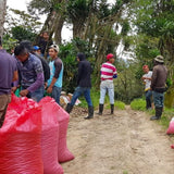 Maya Select DECAF for Keurig© Brewers