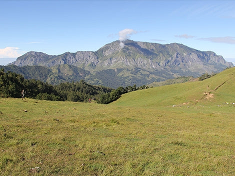 Papua New Guinea Korgua Estate