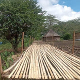 Papua New Guinea Peter Seed