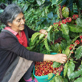 Peru Las Damas de San Ignacio for Keurig© Brewers - Index Coffee