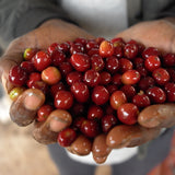 Ethiopia Guji Yabitu Koba