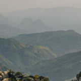 Colombia Geisha Le Jardin-Antioquia